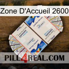 Home Zone 2600 kamagra1